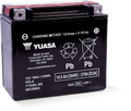 Maintenance-Free AGM Battery (YTX20L-BS) | LP.YTX20L-BS