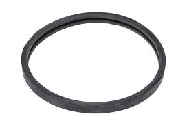 Sealing Ring | VP.20459961
