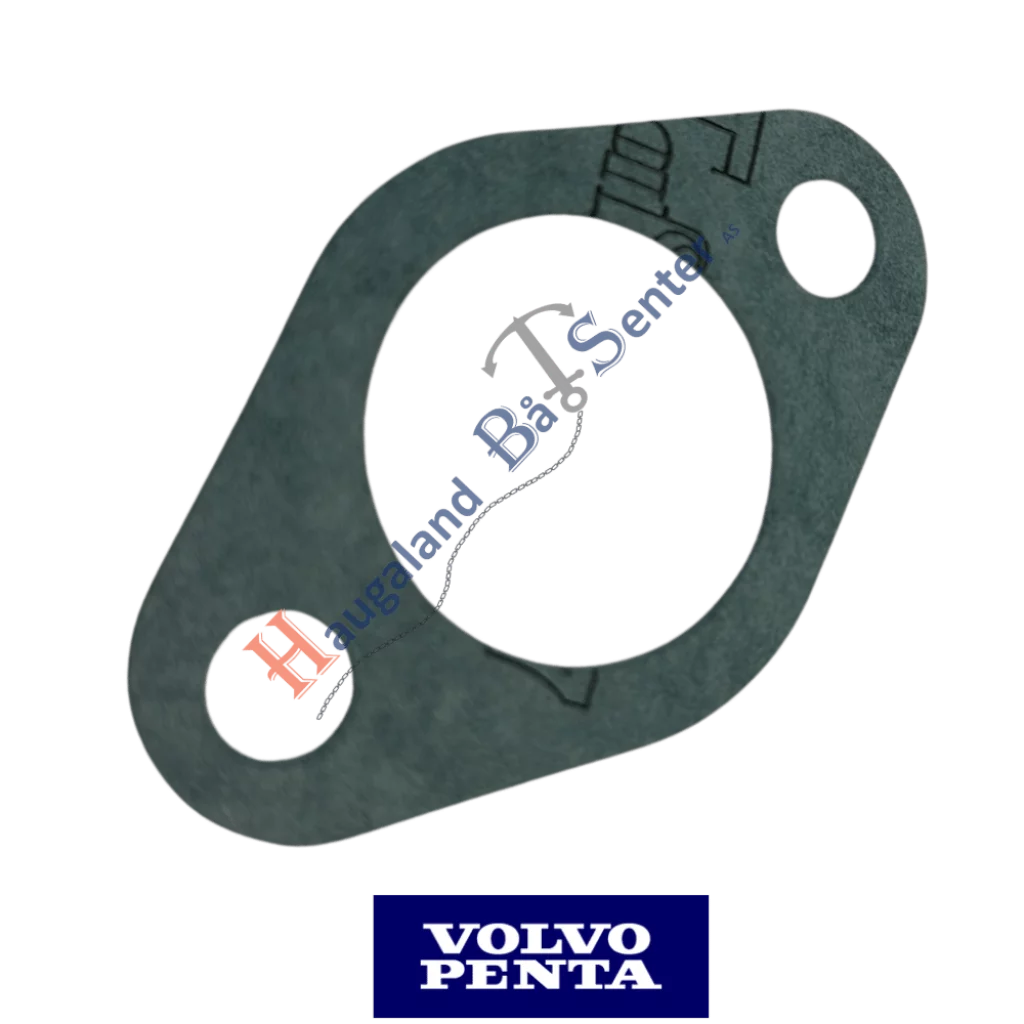 Gasket | VP.3838312
